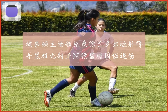 埃弗顿主场领先桑德兰罗尔远射得手黑猫无射正阿德雷特因伤退场